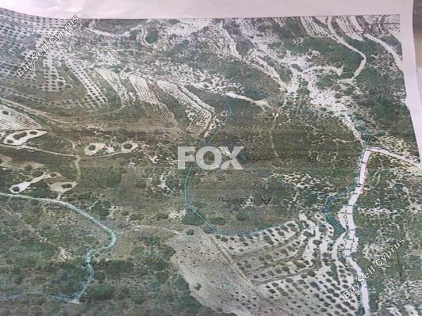 land for sale kapileio limassol 1146663 image 5491688
