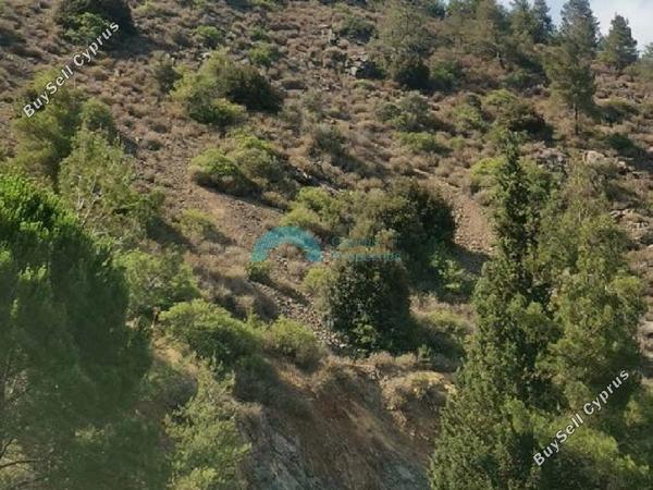 land for sale agios epifanios oreinis nicosia 1890763 image 7138791