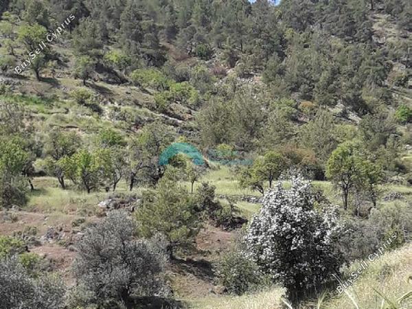 land for sale agios epifanios oreinis nicosia 1890763 image 7138792