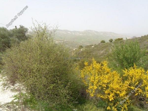 land for sale dora limassol 1194763 image 5570348