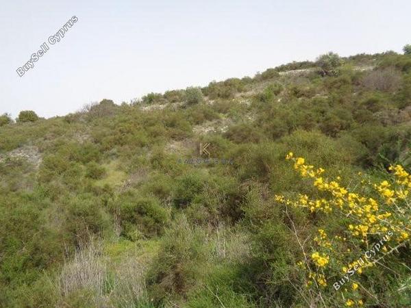 land for sale dora limassol 1194763 image 5570353
