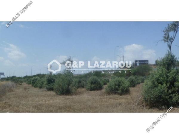 land for sale pera chorio nisou nicosia 1578763 image 14105240