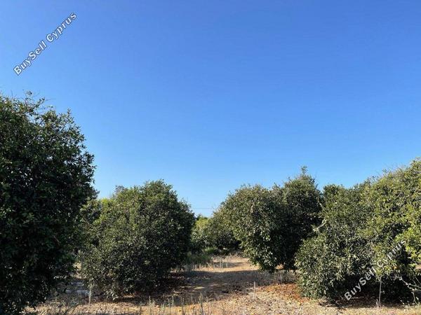 land for sale trachoni lemesou limassol 1681763 image 4378672