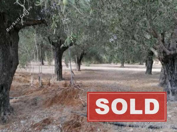 land sold anafotida larnaca 987763 image 927587