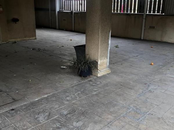 studio building for sale katholiki limassol 7737763 image 10194568