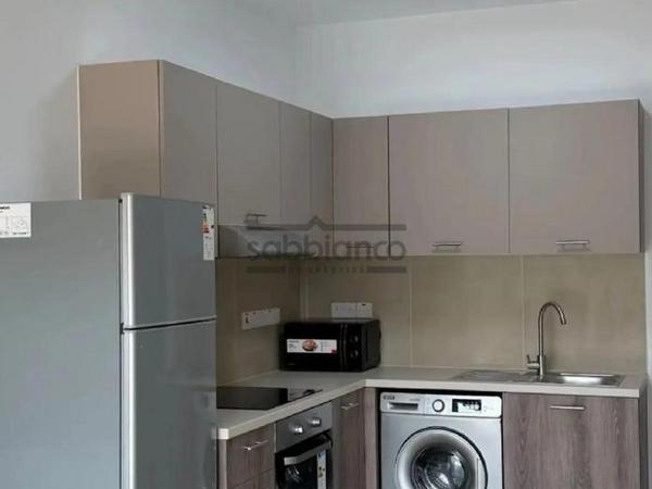 1 bedroom apartment for rent aglantzia nicosia 8740863 image 16387125