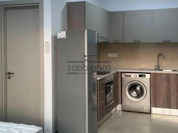 1 bedroom apartment for rent aglantzia nicosia 8740863 image 16387126