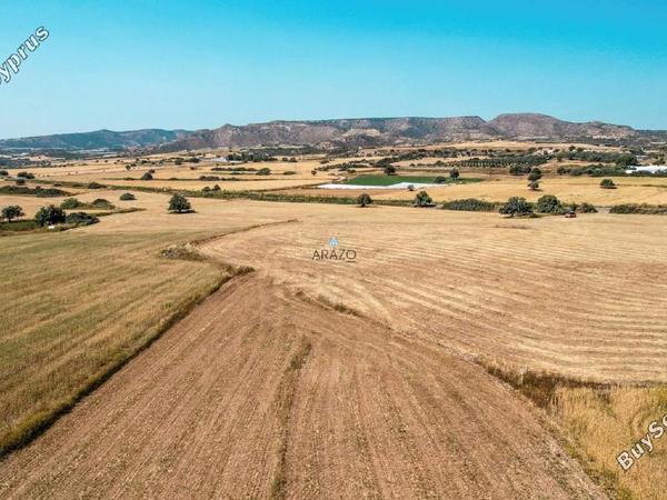 land for sale agios theodoros larnacas larnaca 1335863 image 5641454