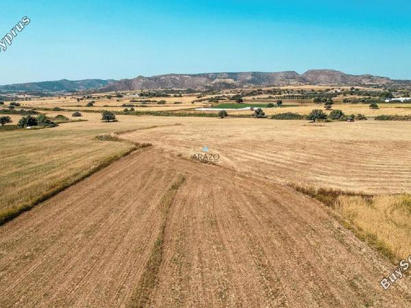 land for sale agios theodoros larnacas larnaca 1335863 image 5641459