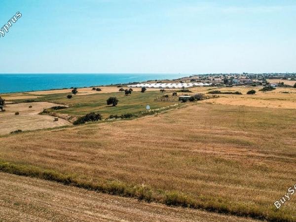 land for sale agios theodoros larnacas larnaca 1335863 image 5641468