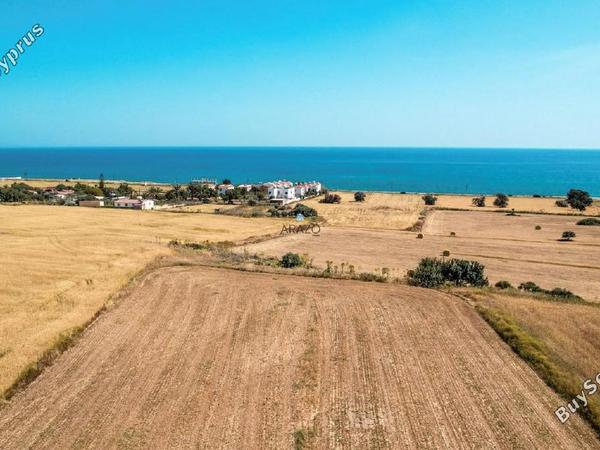 land for sale agios theodoros larnacas larnaca 1335863 image 5641482
