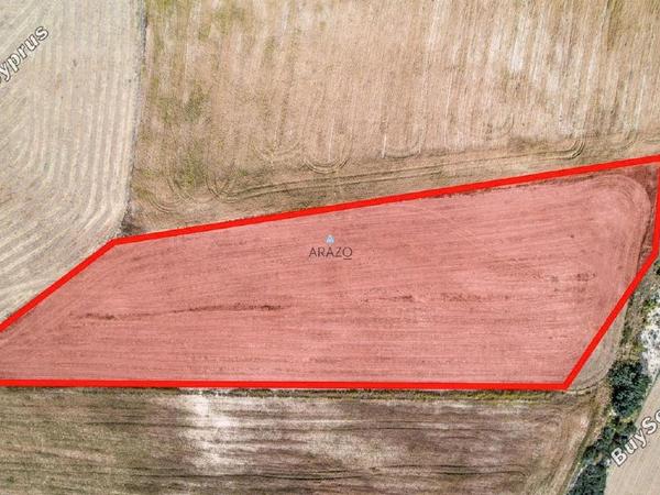 land for sale agios theodoros larnacas larnaca 1335863 image 5641489