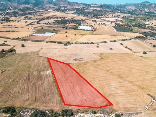 land for sale agios theodoros larnacas larnaca 1335863 image 5641494