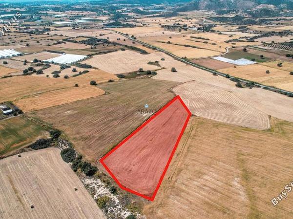 land for sale agios theodoros larnacas larnaca 1335863 image 5641498