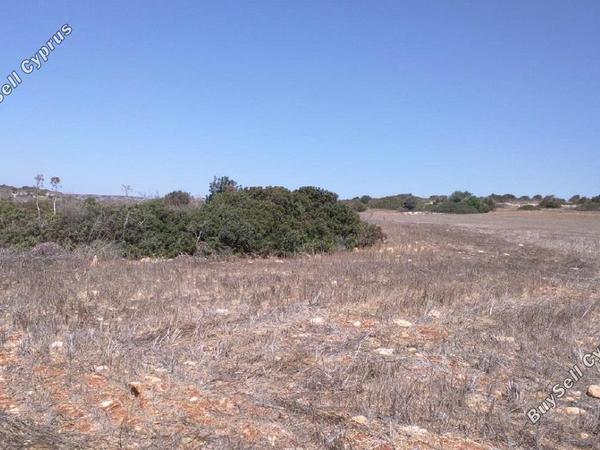 land for sale agios theodoros larnacas larnaca 830863 image 1057197