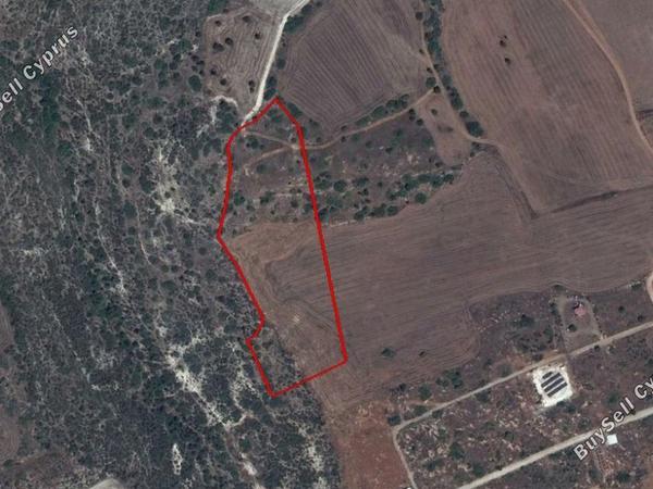 land for sale agios theodoros larnacas larnaca 830863 image 1057198