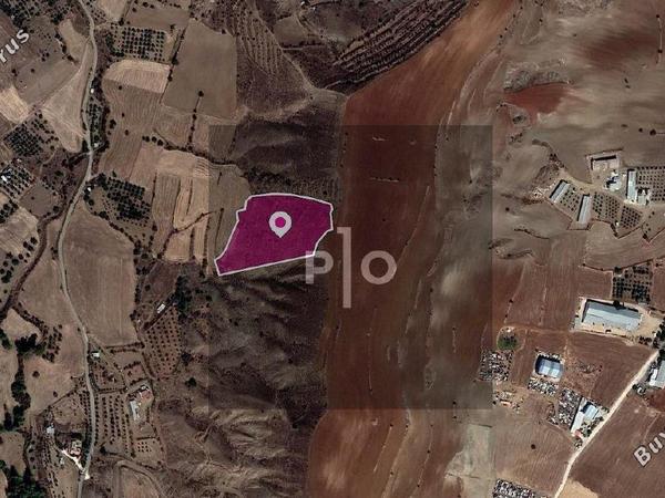 land for sale agrokipia nicosia 8274863 image 15155789