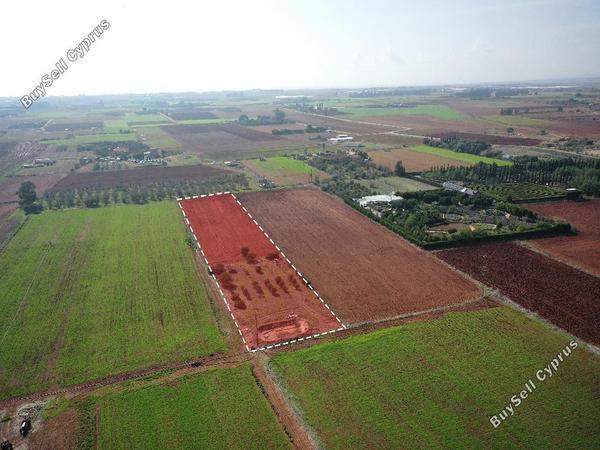 land for sale avgorou famagusta 1262863 image 9883356