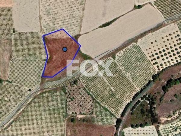 land for sale polemi paphos 1512863 image 5631474
