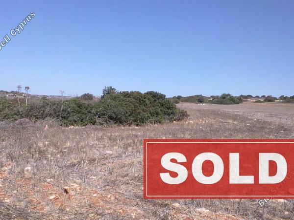 land sold agios theodoros larnacas larnaca 830863 image 1057197