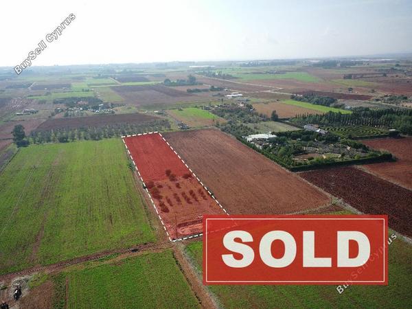 land sold avgorou famagusta 1262863 image 9883356