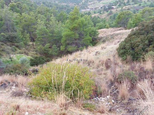 plot for sale pano pyrgos nicosia 1194863 image 5572068