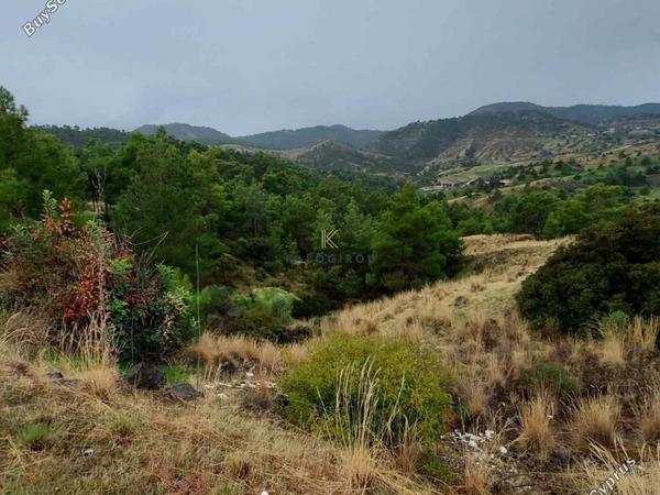 plot for sale pano pyrgos nicosia 1194863 image 5572070
