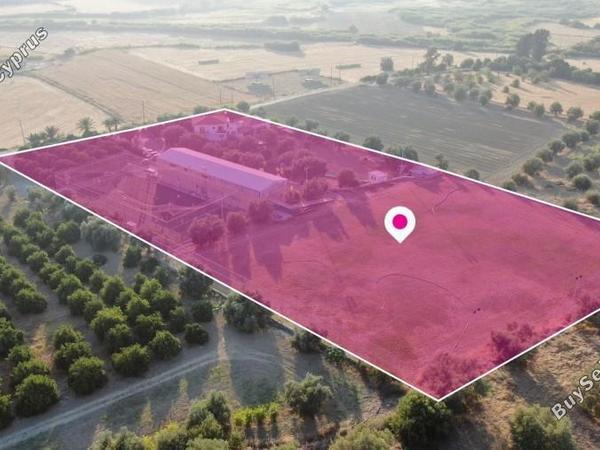 studio office for sale poli chrysochous paphos 8406863 image 15934960