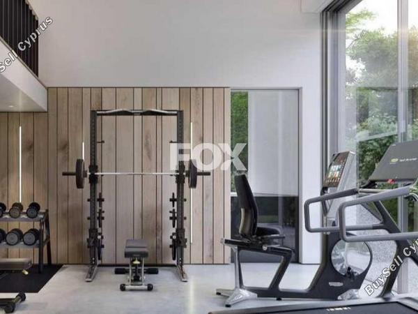 3 bedroom apartment for sale chlorakas paphos 8856963 image 17134230