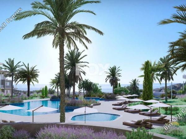 3 bedroom apartment for sale chlorakas paphos 8856963 image 17134236