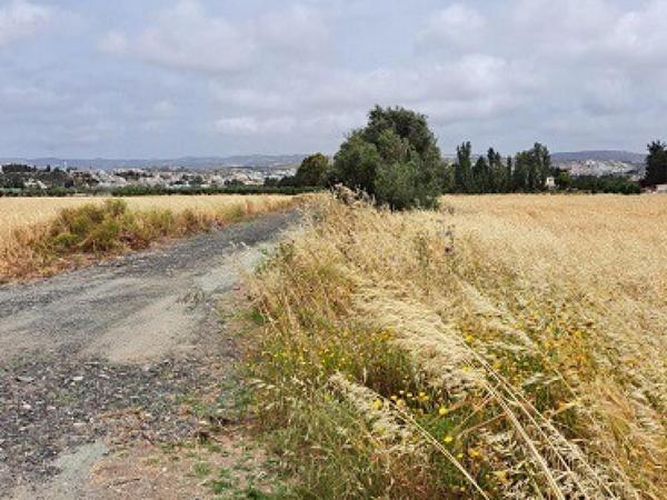 land for sale geroskipou paphos 8395963 image 14822601