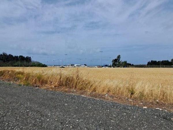 land for sale geroskipou paphos 8395963 image 14822603