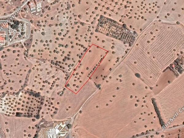 land for sale mazotos larnaca 830963 image 1056923