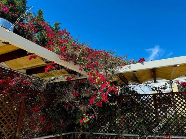3 bedroom detached house for sale agios tychonas limassol 1502073 image 12661372