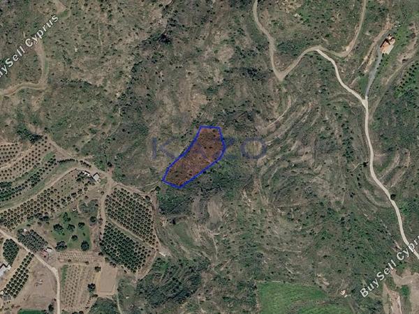 land for sale eptagoneia limassol 8926073 image 17604358