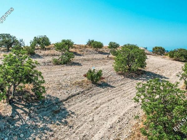 land for sale oroklini larnaca 958073 image 5604746