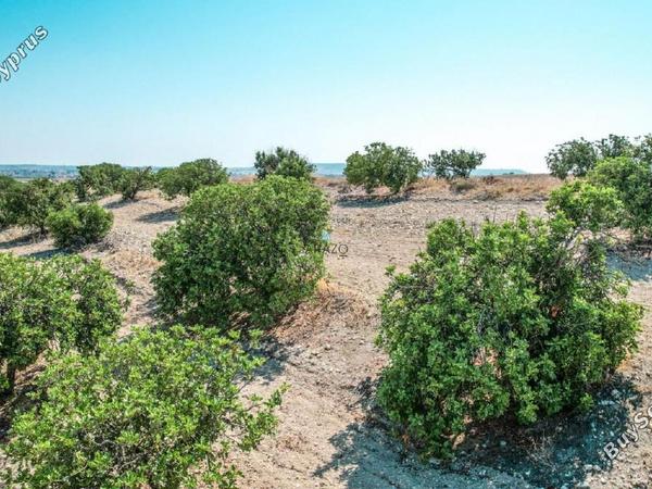land for sale oroklini larnaca 958073 image 5604750