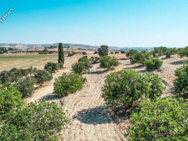 land for sale oroklini larnaca 958073 image 5604754