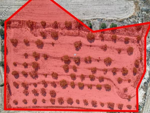 land for sale oroklini larnaca 958073 image 5604766