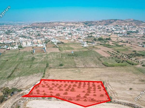 land for sale oroklini larnaca 958073 image 5604770