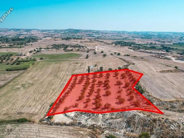 land for sale oroklini larnaca 958073 image 5604772