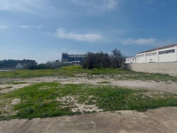 studio warehouse for sale larnaca municipality larnaca 7737073 image 12553325