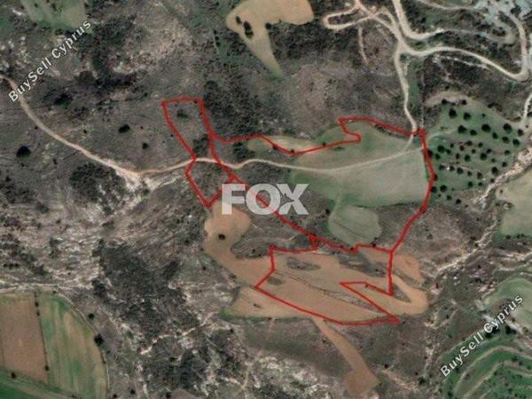 land for sale armou paphos 1159173 image 5519073