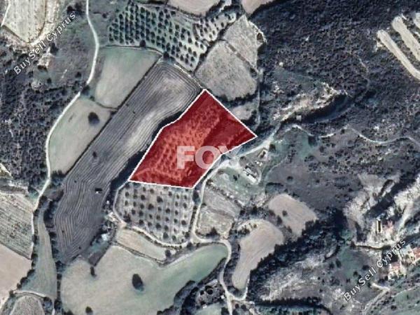 land for sale pissouri limassol 1160173 image 15487748
