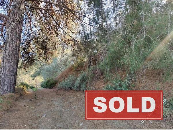 land sold agios mamas limassol 8434173 image 15005819
