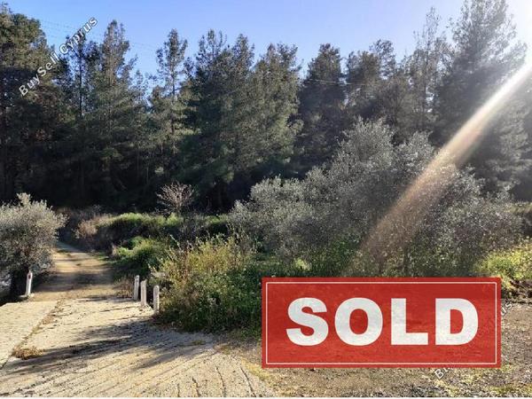 land sold agios mamas limassol 8434173 image 15005820
