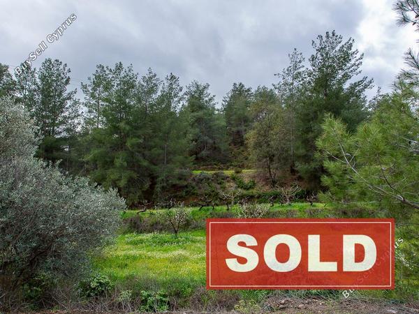 land sold agios mamas limassol 8434173 image 15005821