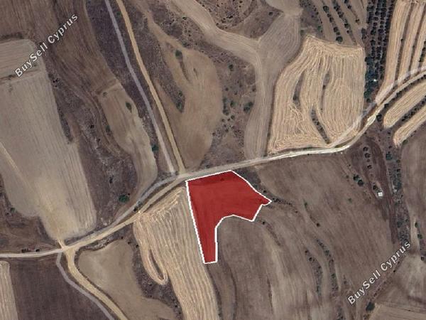 land for sale nikitari nicosia 1336273 image 9440774