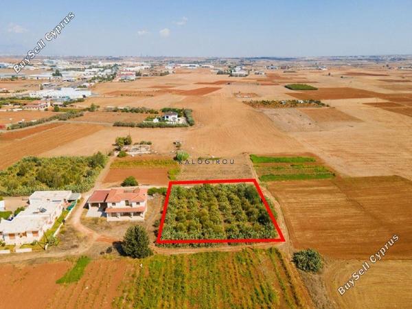plot for sale kokkinotrimithia nicosia 1195273 image 5576942
