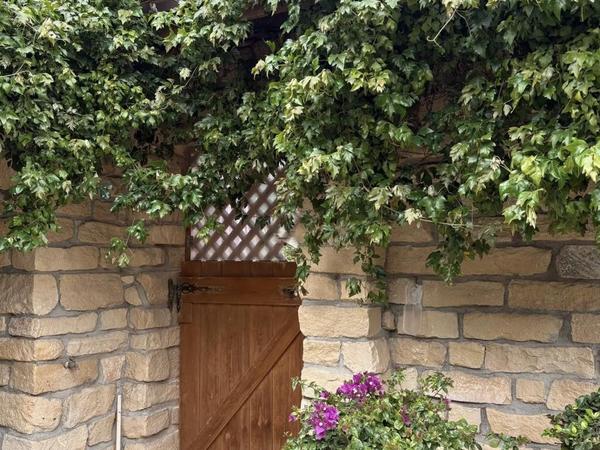 3 bedroom detached house for rent maroni larnaca 8633373 image 15879616